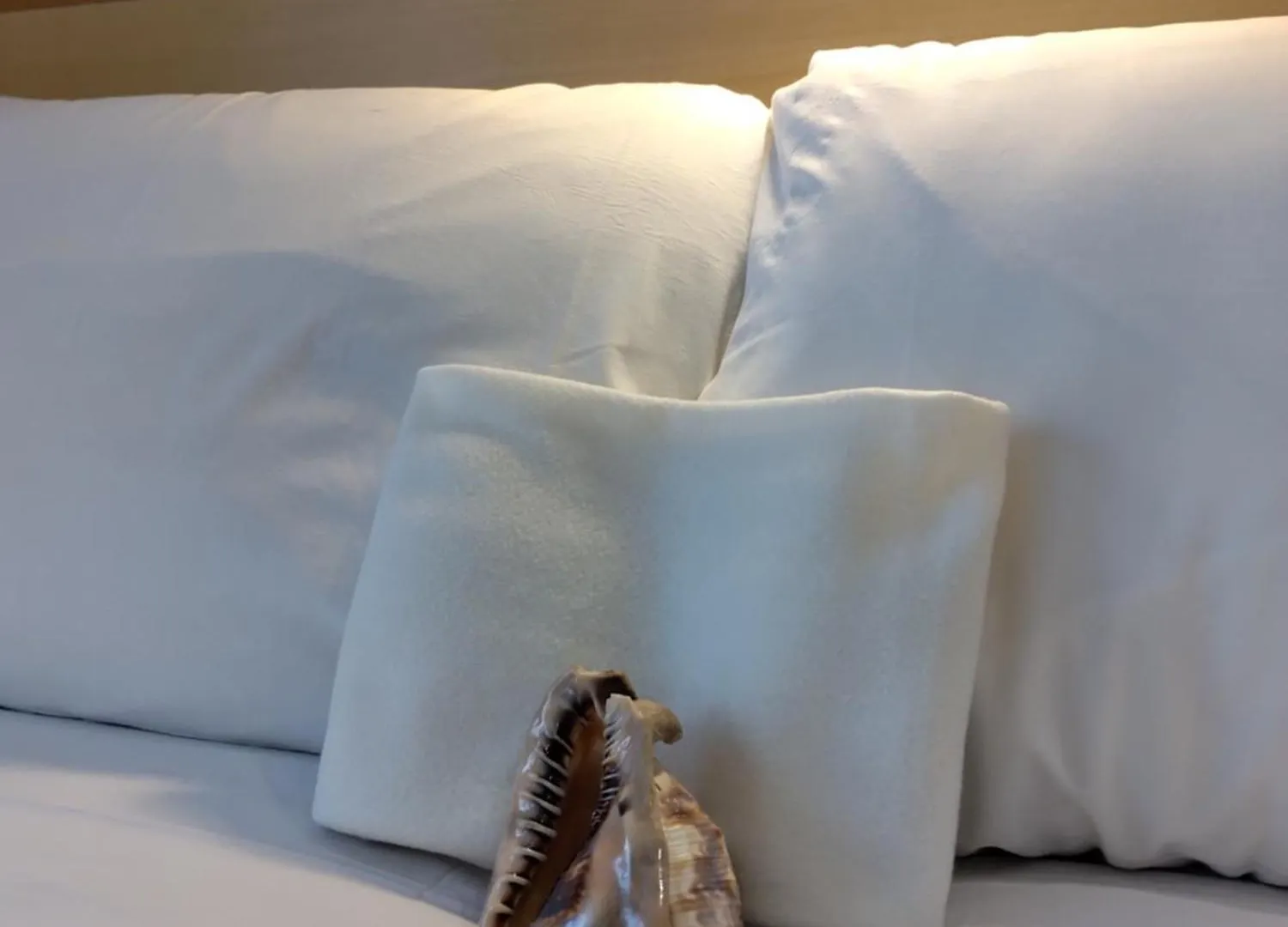 ***  Hotel Baviera Sottomarina Italy